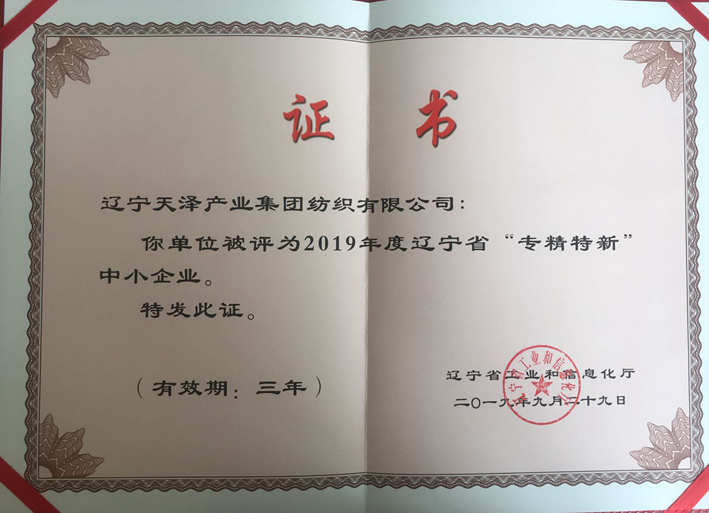 “專(zhuān)精特新”2019年省.jpg
